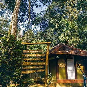 https://emarald-wild-west.kerala-hotels.net